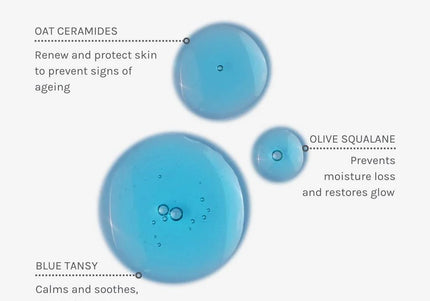 Blue Velvet Ceramide Serum - 30 ml - Evolve