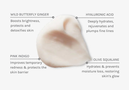 Hydrate Protect and Facial Cream - 60 ml - Evolve