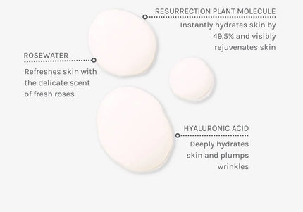 Age Defying Hydrating Face Mist - 100 ml - Evolve