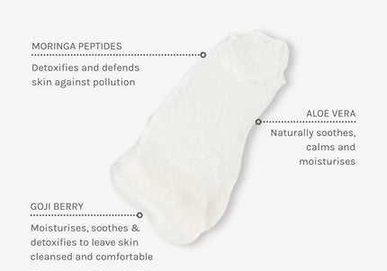 Daily Detox Facial Wash - 100 ml - Evolve