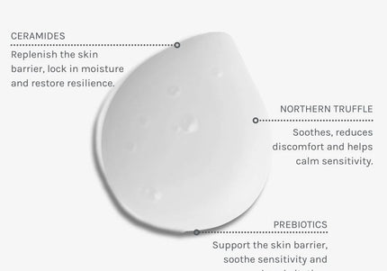 Soothing Ceramide Cleansing Milk - Evolve