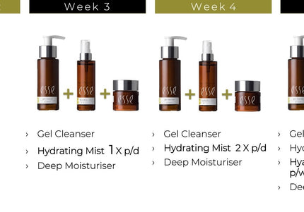 Trial Travel Set - Normal - Oily Skin - Esse